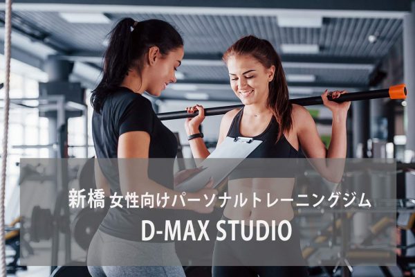 D-MAX STUDIO 