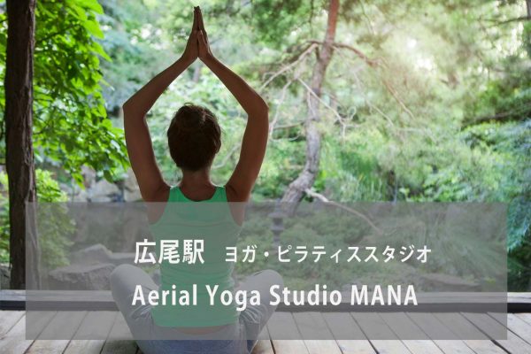 Aerial Yoga Studio MANA
